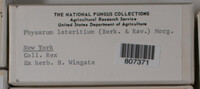 Image Associated With the Occurence